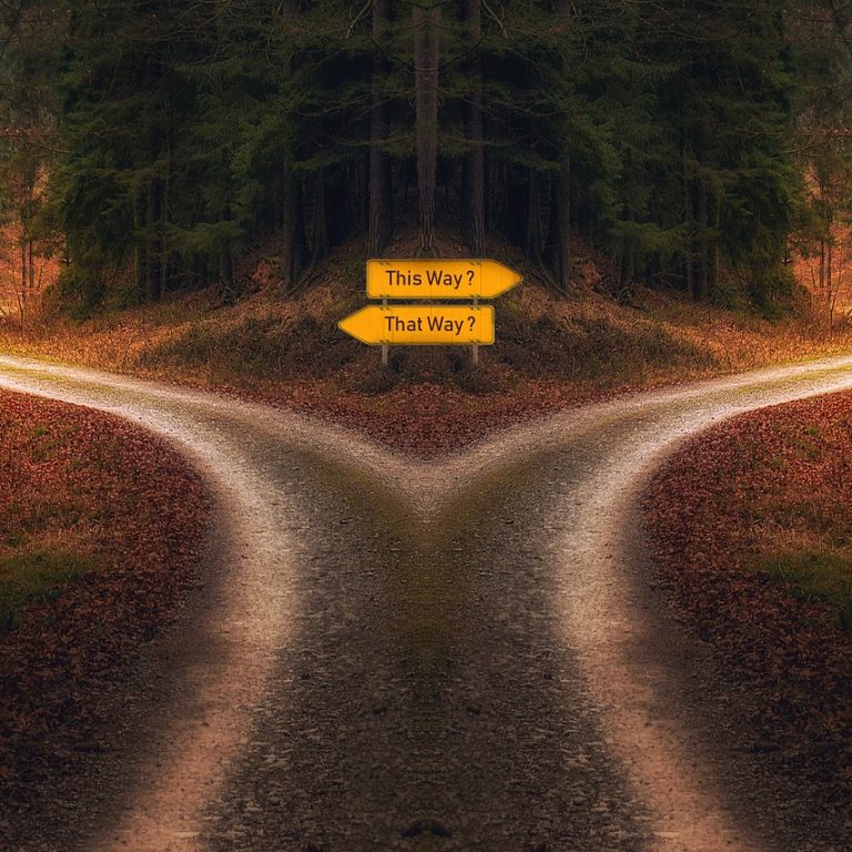 decision-gdad088fa1_1280